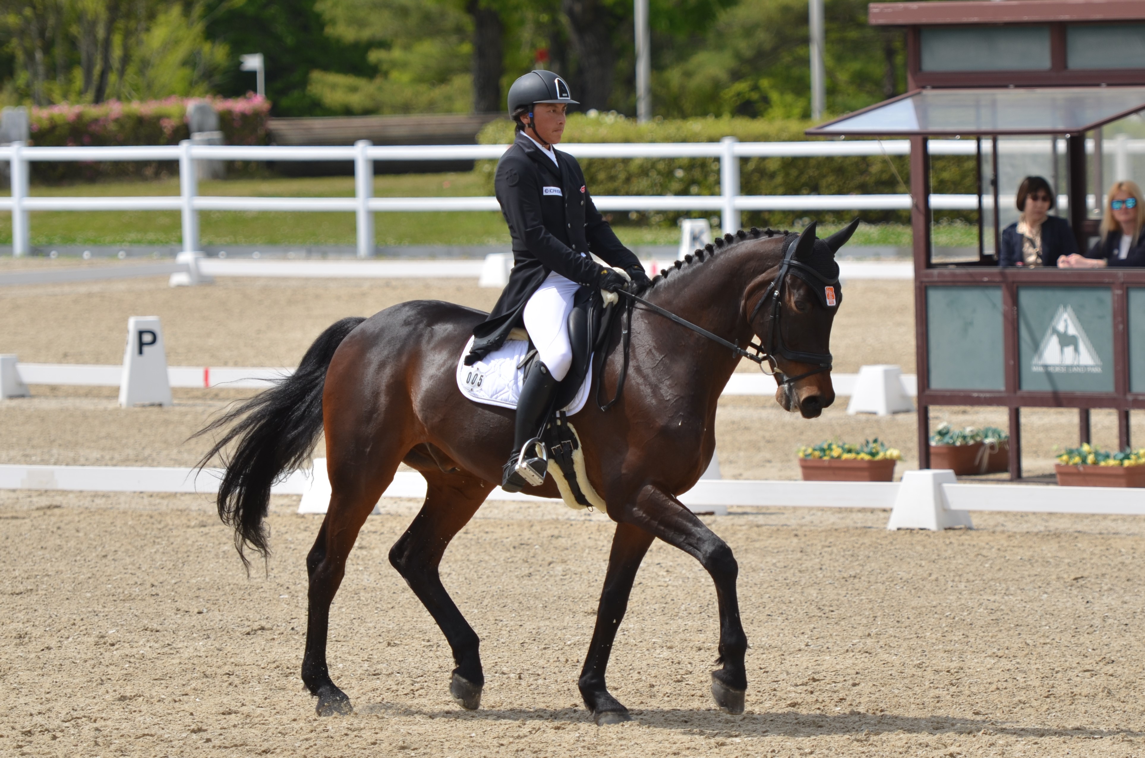 CCI2*-L Miki》初日レポート 公益社団法人 日本馬術連盟 《Japan